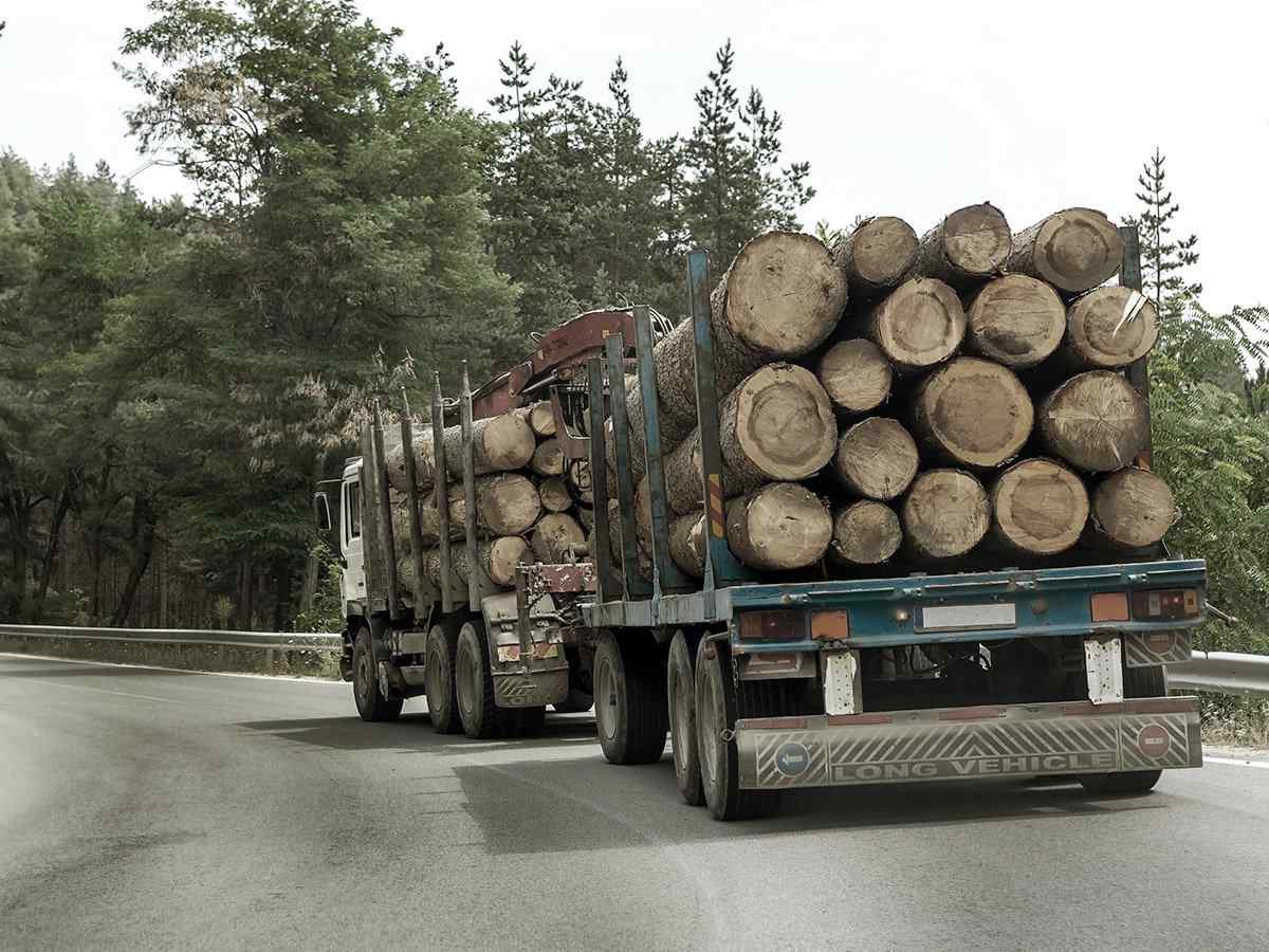 https://dogusta.lt/wp-content/uploads/2017/08/inner_big_trucks_01.jpg